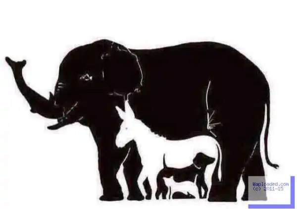 WAPLOADITES: How many animals can you see in the picture
